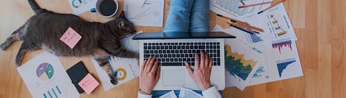 Woman typing on a computer next to a cat that has a sticky note on it