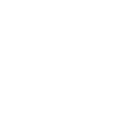 Cornerstone Executive Education - Logo - Symbol Only - White