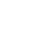 Digital School - Logo Badge - White 500x500