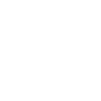 Payments School - Logo - Symbol Only - White 500x500