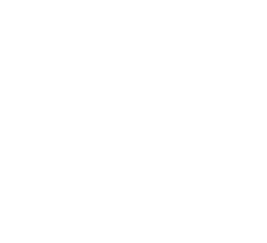 Cornerstone Advisors M&A - Firefly Credit Union and TruStone Financial Logo