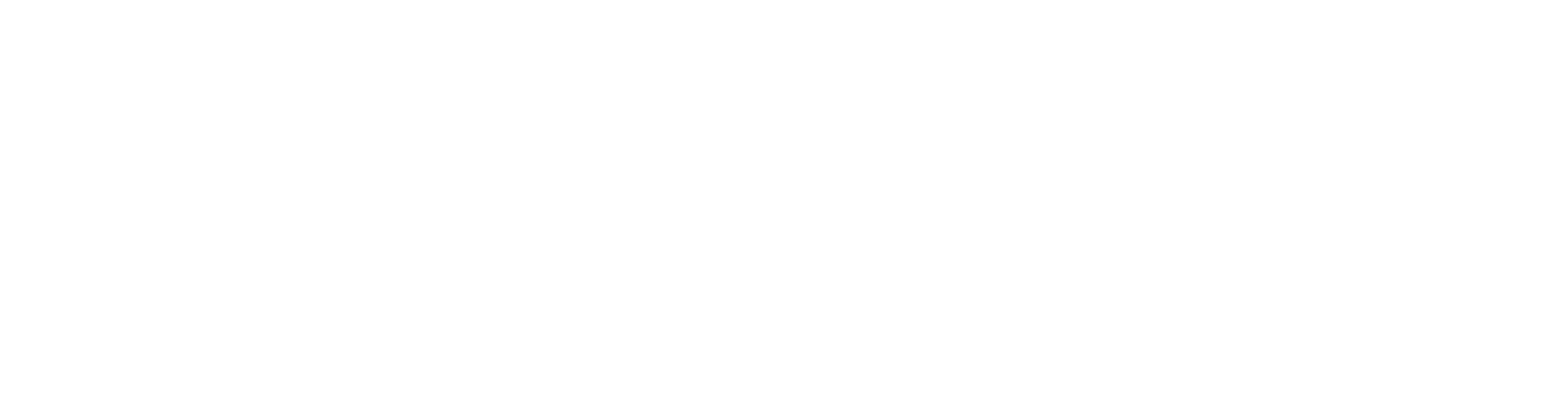 Performance Vault - Logo - Horizontal - White - 2024